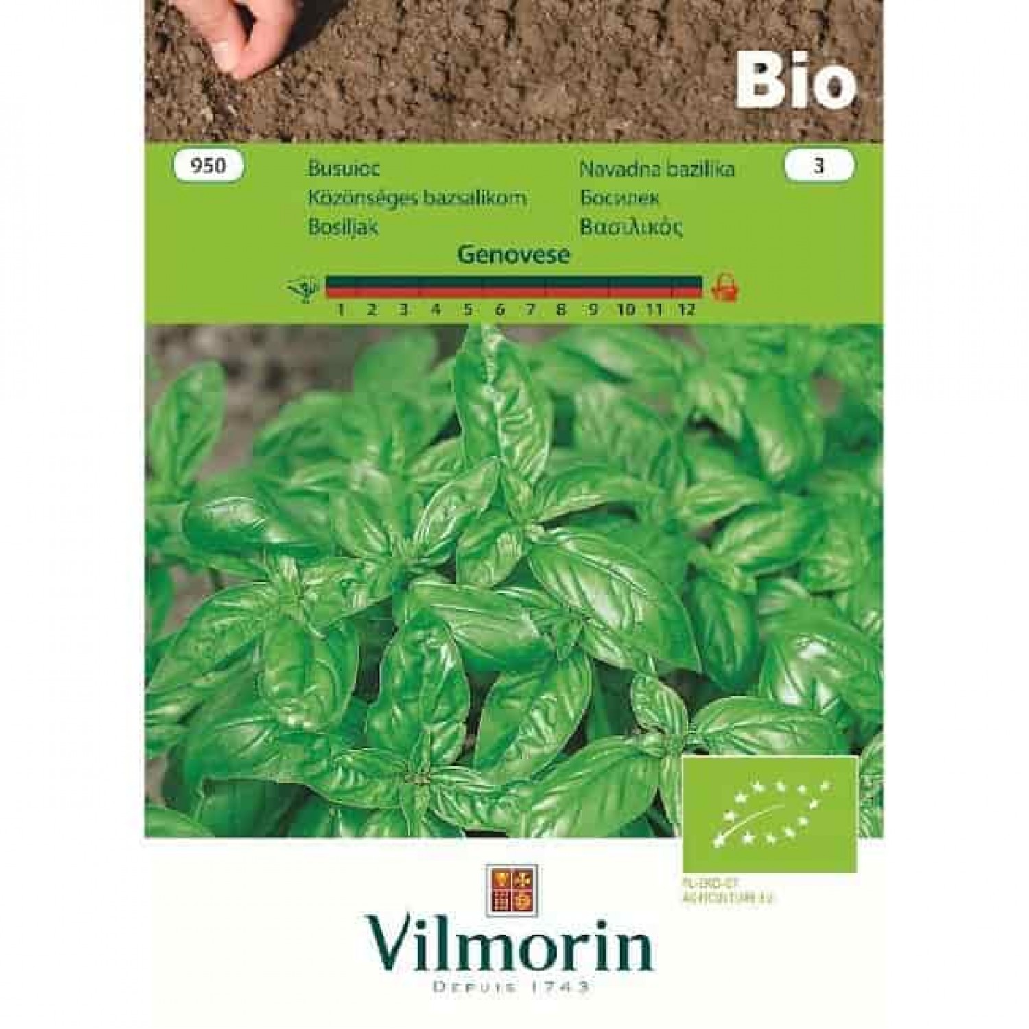 Organic Seeds Basil Bio Genovese VILMORIN Kipogeorgiki